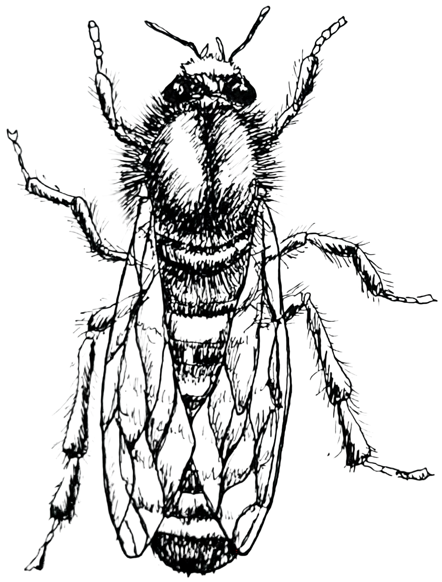 The WORKER Fragrance